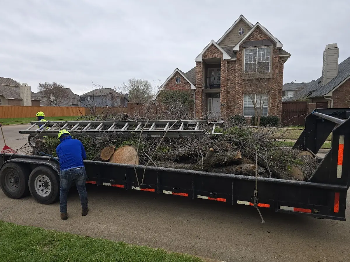 Expert Lot Clearing with proper safety equipment in Forsyth